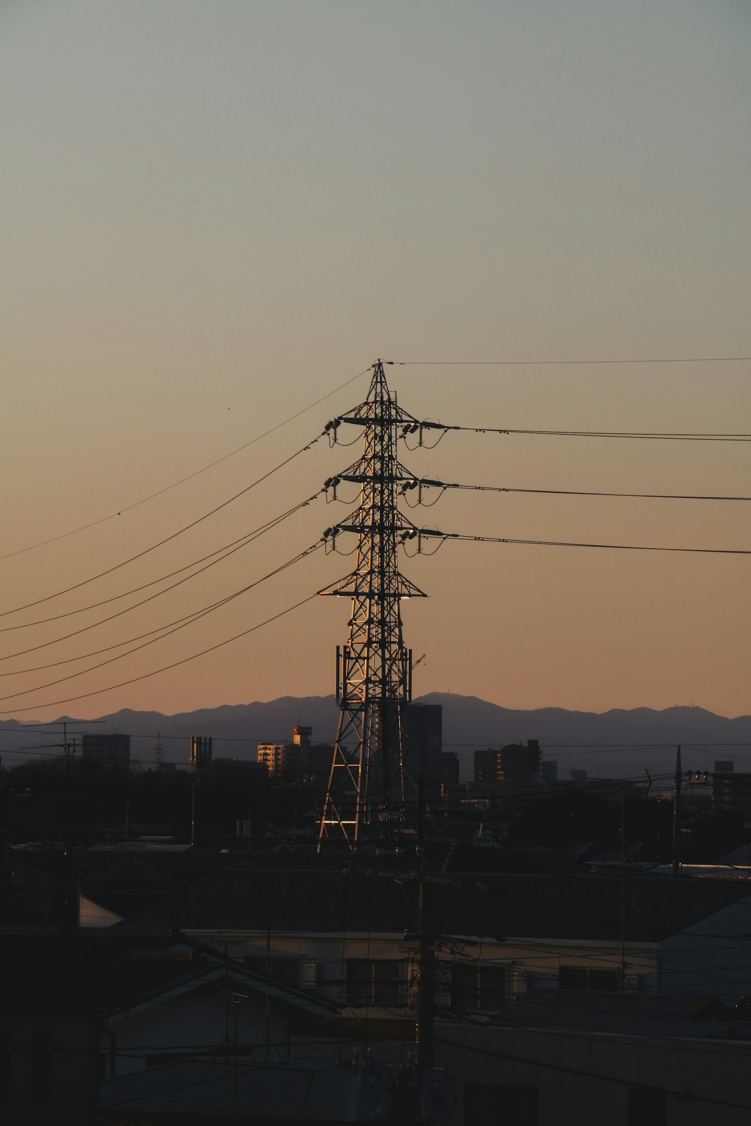 Real-World Applications of Energy Market Principles